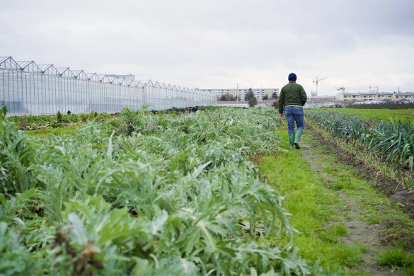Gärtnerei Ganger Stil Stimmungsbild